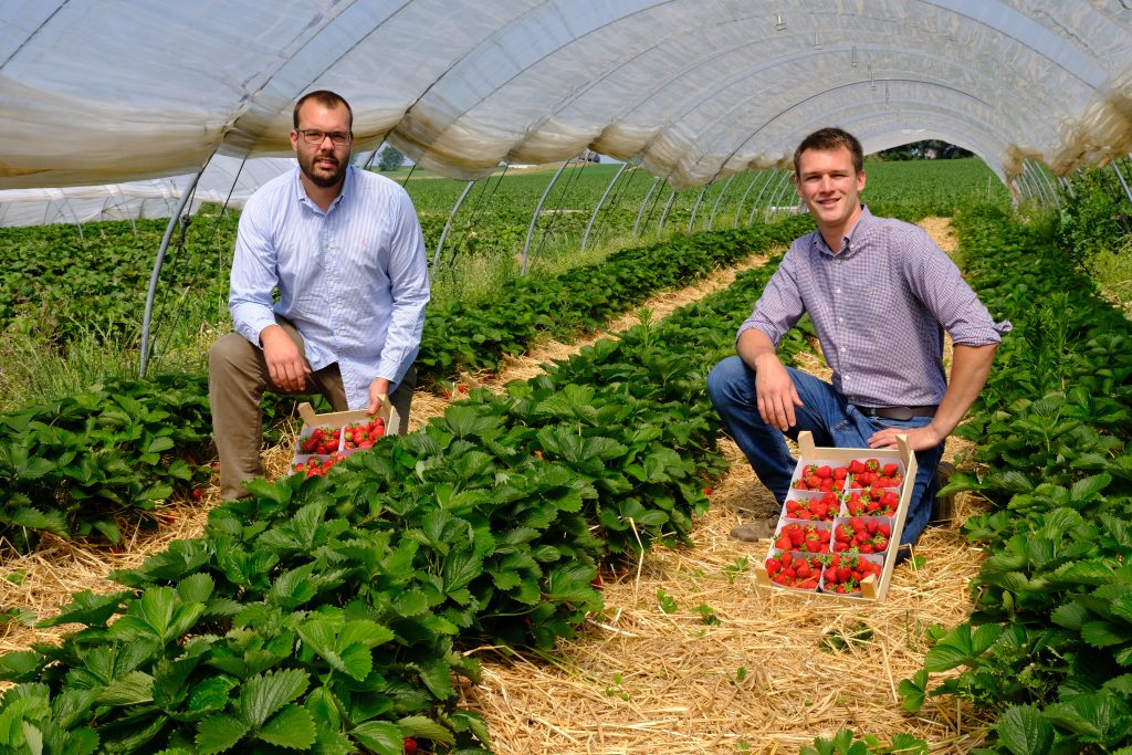 La Ferme d Enée Gembloux IFEL W