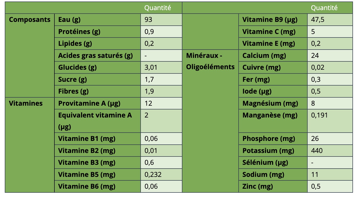 Fenouil : calories et valeur nutritionnelle