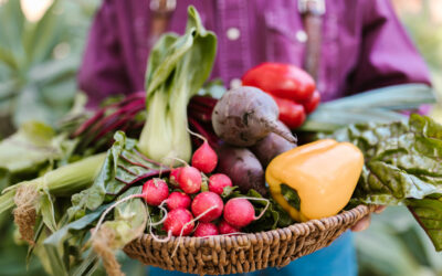 Enquête pour des producteurs désireux de commercialiser des fruits et légumes avec l’IFEL-W