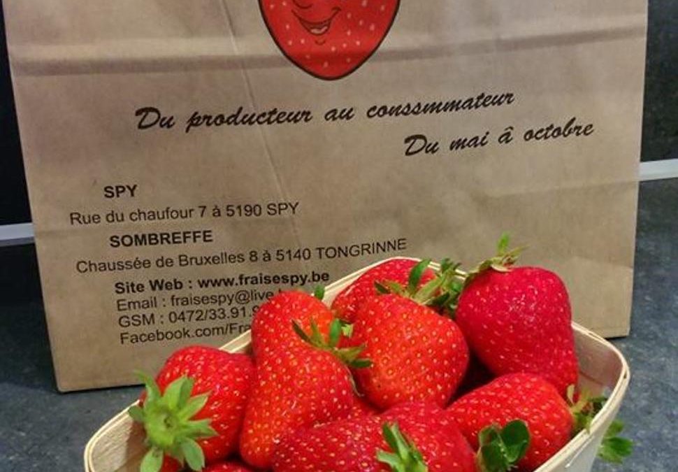 Les fraises de Spy – Spy