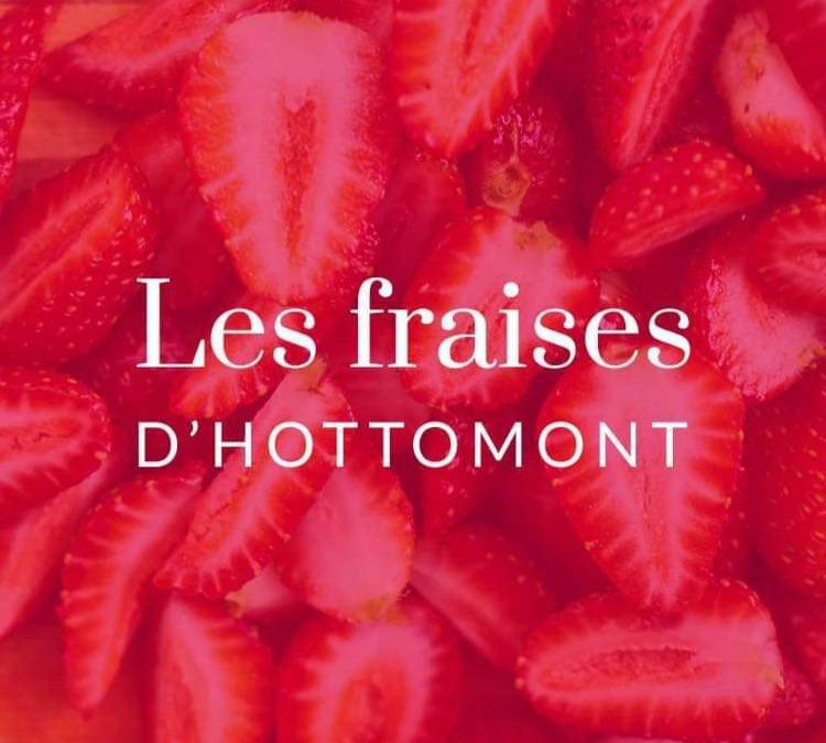 Les fraises d’Hottomont – Grand-Rosières