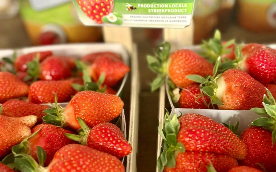 Ouverture de la saison des Fraises de Wallonie 2025